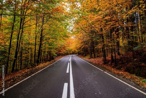 Beautiful view of a highway with fall foliage trees around © Gelu1/Wirestock Creators