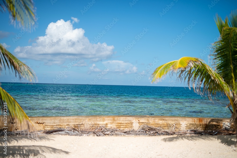 Landscape of palm trees on sunny sandy beach by the sea with blue sky