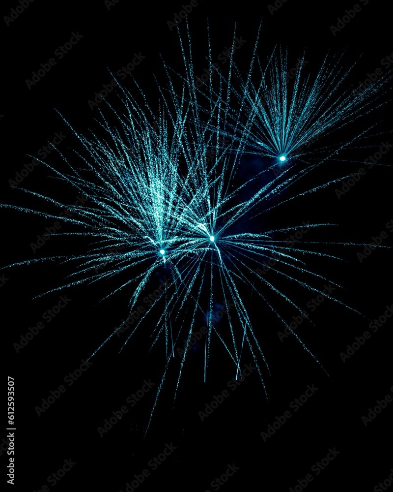 Firework at New Year