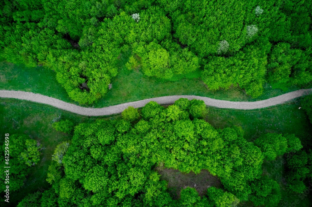 Aerial view of a road in a green field between trees