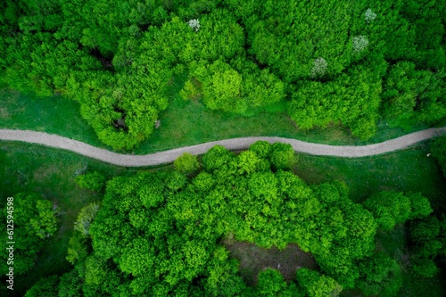 Aerial view of a road in a green field between trees