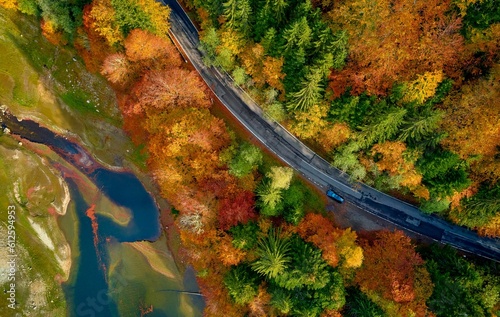 Aerial view over Transfagarasan road between fall trees near a river in Romania