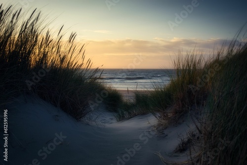 Beach covered with green grass and sand during sunrise in the morning
