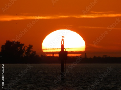 Silhouette of a bird on a post against dim orange sunset sky background with bright sun