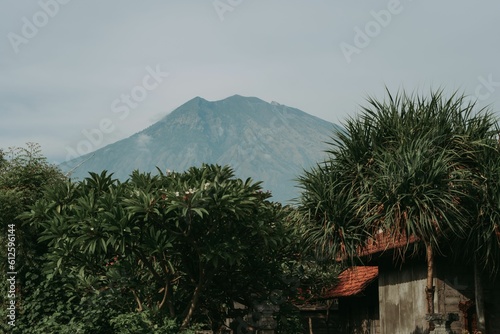 View of tropical trees with Mount Agung in the background. Tulamben, Bali, Indonesia.