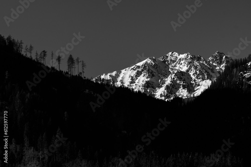 Grayscale shot of a rocky beak covered with snow