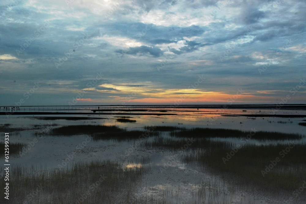View of the wetland against the background of the cloudy sky at sunset.