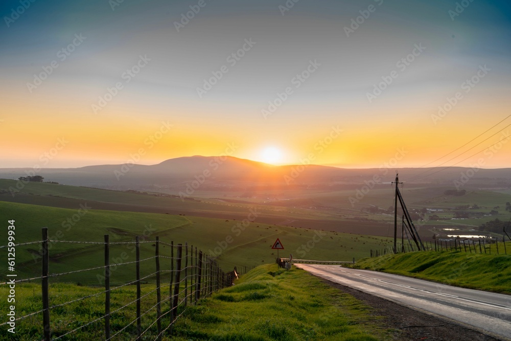 Beautiful view of a road and green fields during sunrise