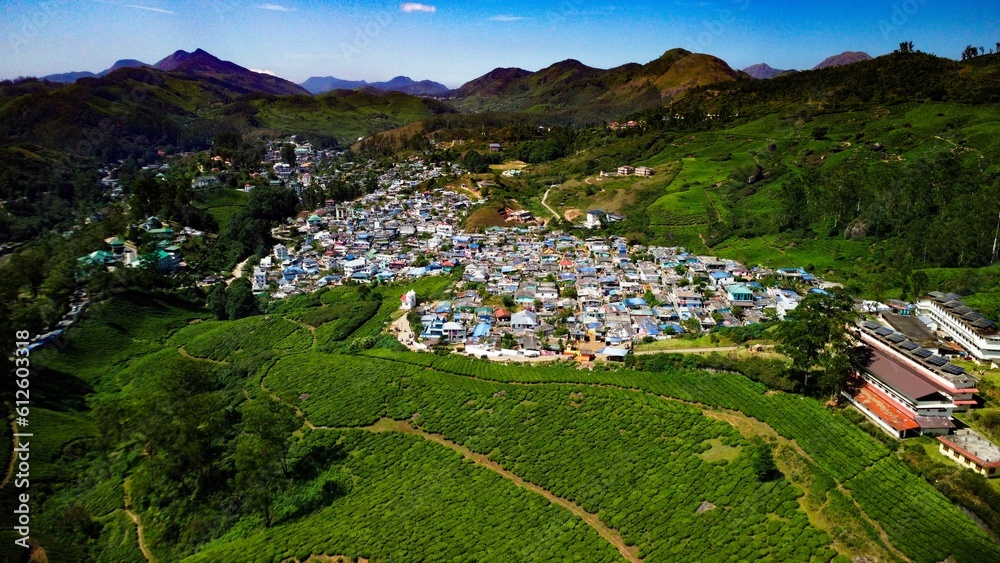 Aerial view of a village surrounded by a wide tea plantation