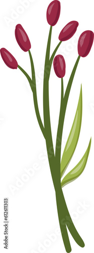 plant, vector, design, illustration, graphic 