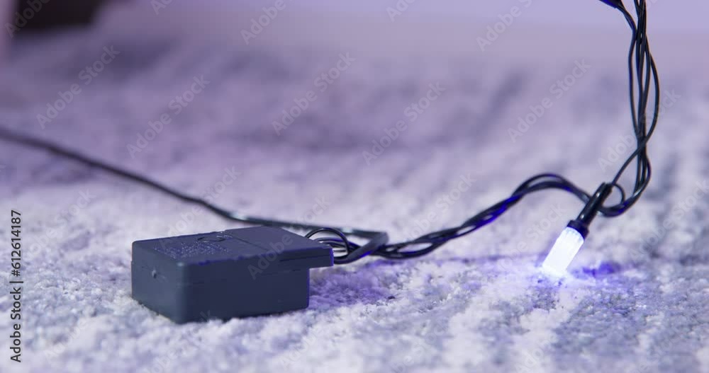 Dachshund turns on bright garland pressing button with paw in apartment. Remote from garland lies on soft carpet in spacious house Dachshund turns on bright garland pressing button with paw in apartment. Remote from garland lies on soft carpet in spacious house