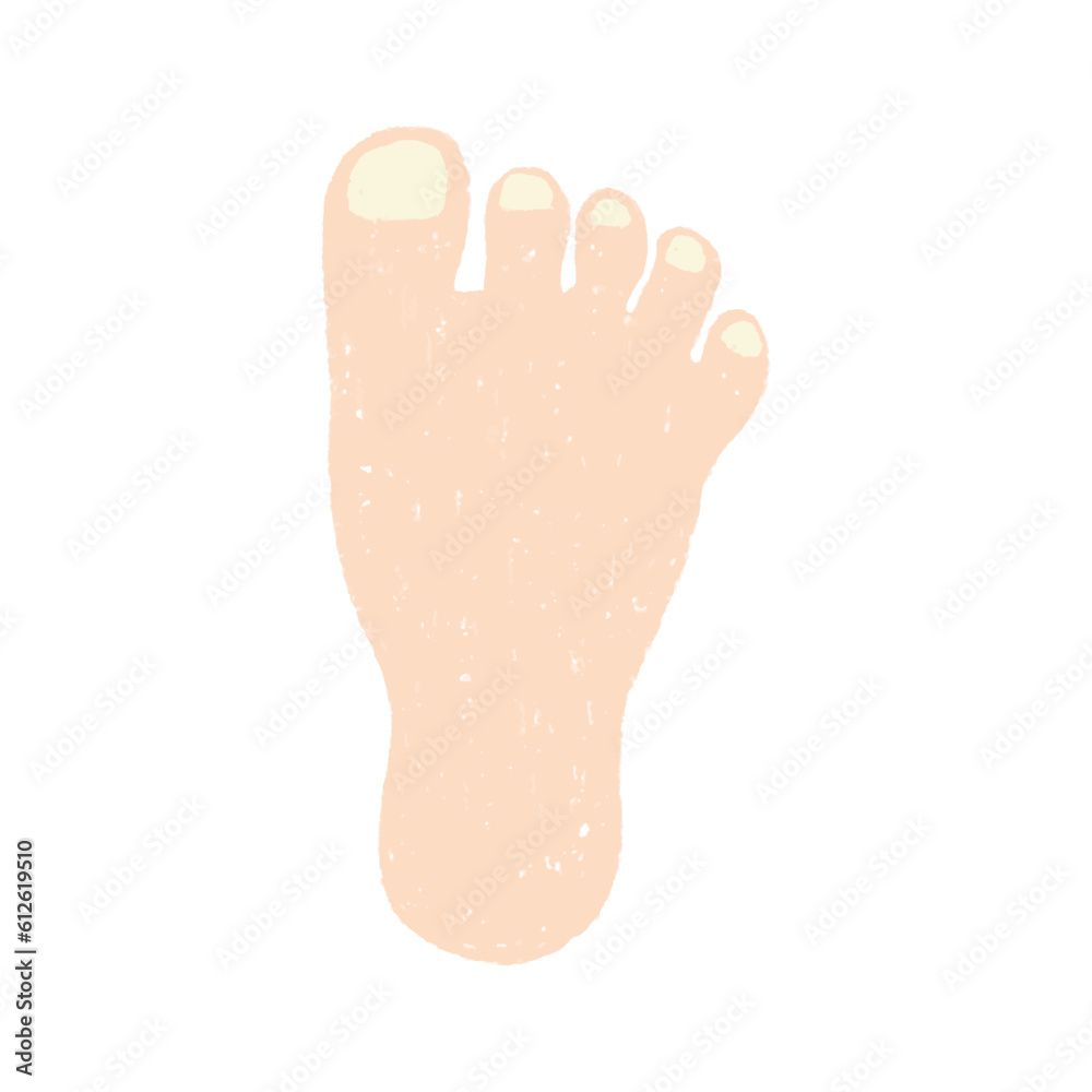 手描きの足のイラスト