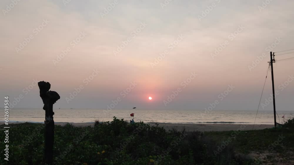Scenic view of grassy seaside during sunset Scenic view of grassy seaside during sunset