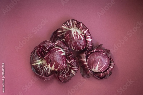 Closeup of cichorium intybus on a purple background photo