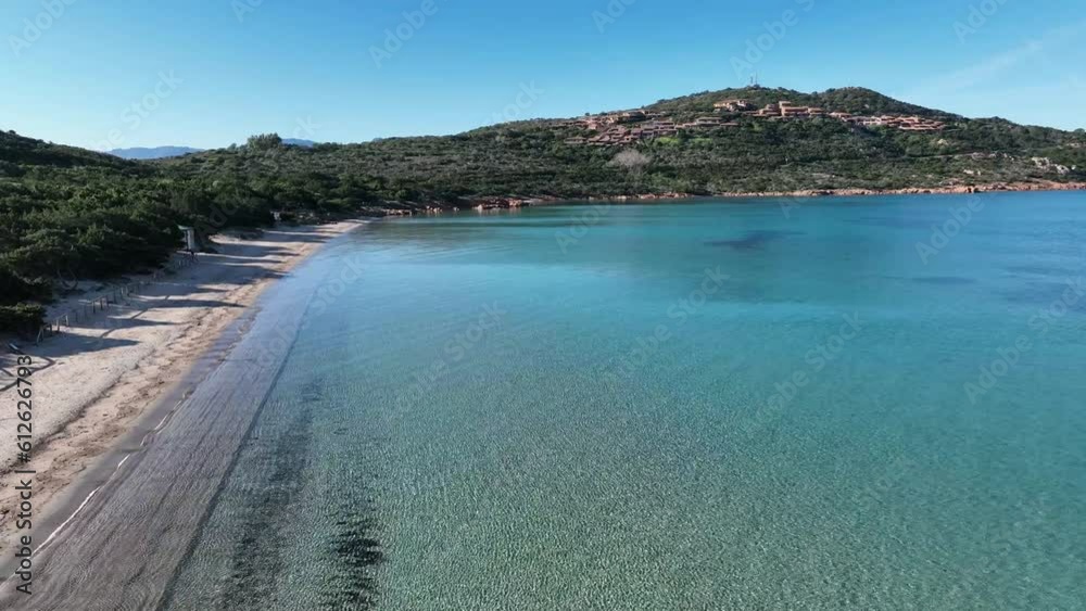 custom made wallpaper toronto digitalDrone view of a beautiful sea near the forest on a sunny day
