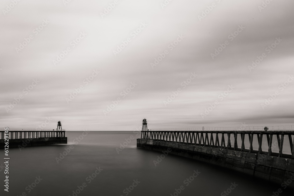 Fototapeta premium Grayscale of piers on the sea with the cloudy sky and the horizon in the background
