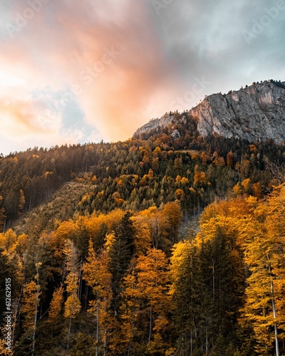 Scenic view of fall colors trees in a mountain forest under cloudy dusk sky