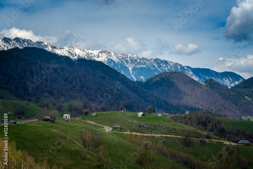 Aerial view of a beautiful forest near the mountains