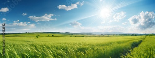 Wide view of green grass and blue sky with sun. Beautiful panoramic natural landscape of a green field with grass against a blue sky with sun. Generative AI.