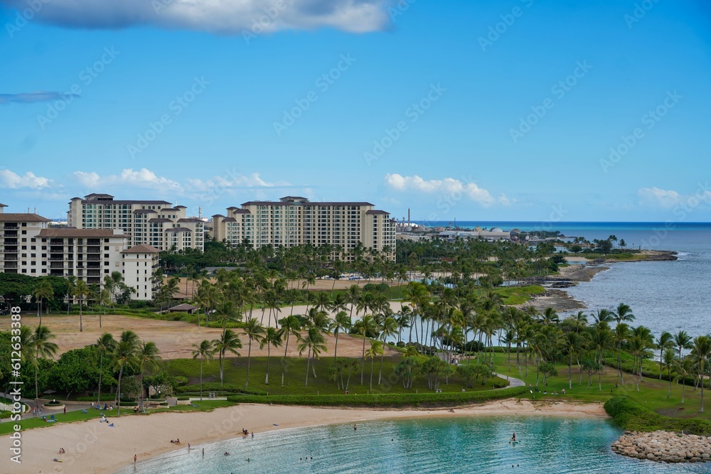 Aerial view of a beach and the vast expanse of the ocean with palm trees at the shore