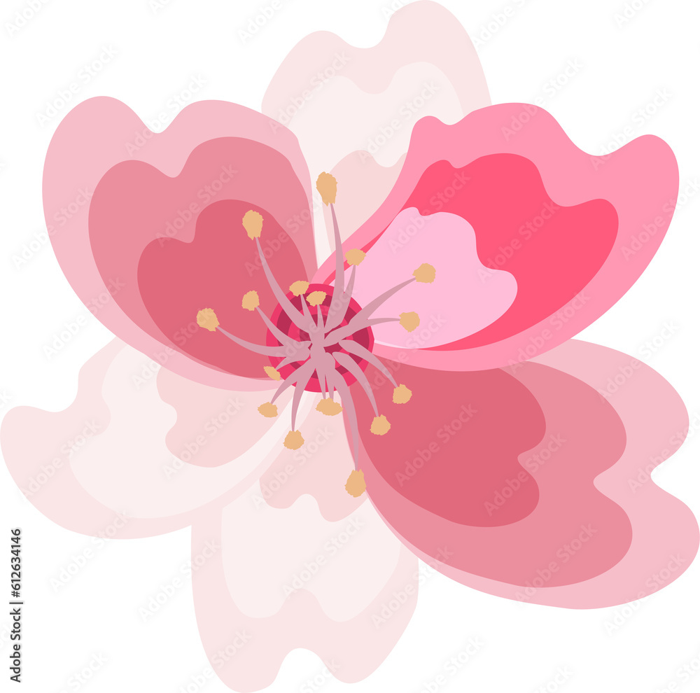 Cherry blossom branch. branch of sakura with flowers and leaves. Spring sakura cherry blooming flowers, pink petals and branches. On transparent, png Cherry blossom branch. branch of sakura with flowers and leaves. Spring sakura cherry blooming flowers, pink petals and branches. On transparent, png