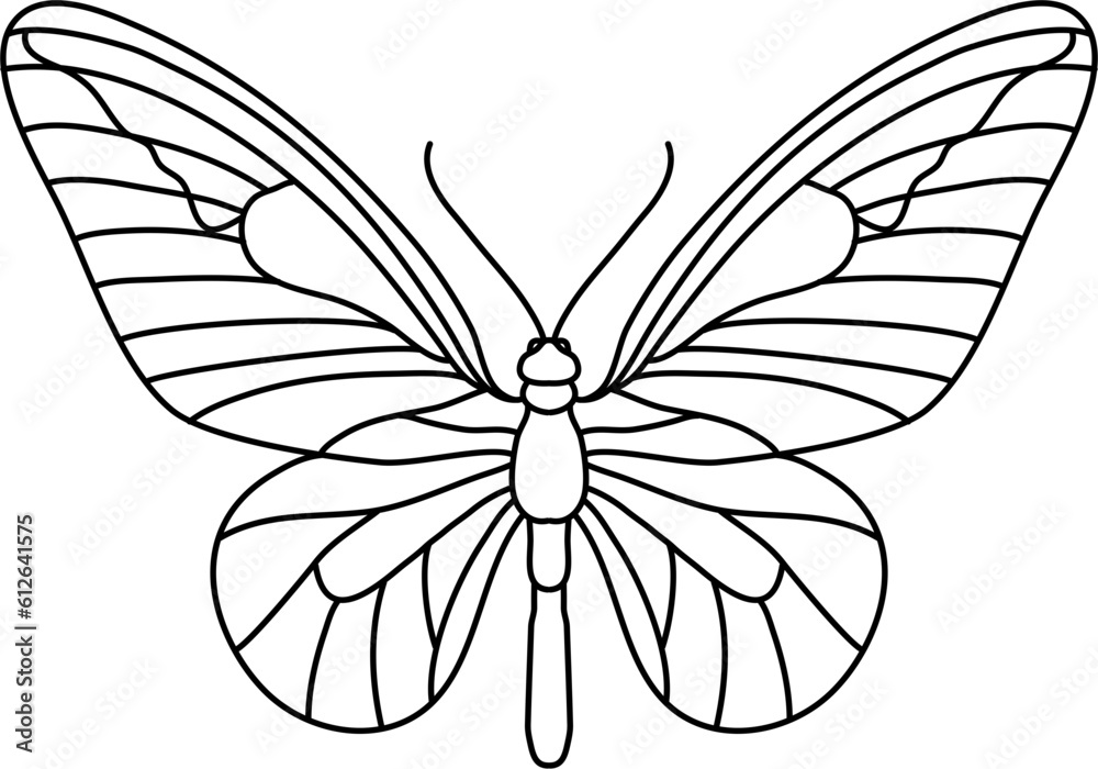 Insect Butterfly Outline Illustration Vector Insect Butterfly Outline Illustration Vector