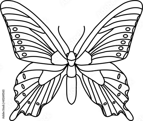 Animal Butterfly Outline Illustration Vector
