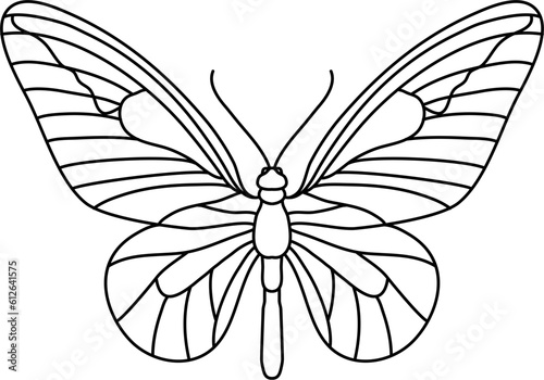 Insect Butterfly Outline Illustration Vector