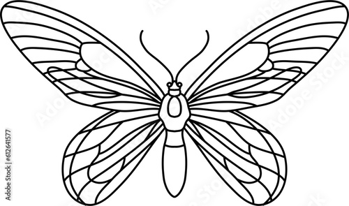 Flying Butterfly Outline Illustration Vector