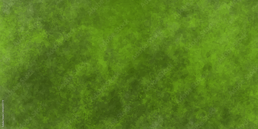 colourfull  Green grass taxture background.and green pepers