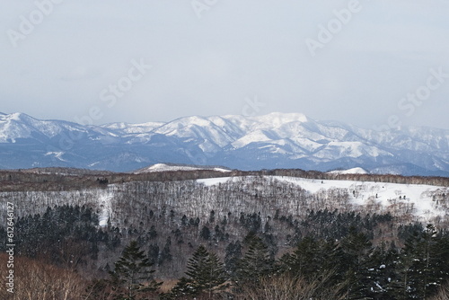 Snowy mountain range landscape