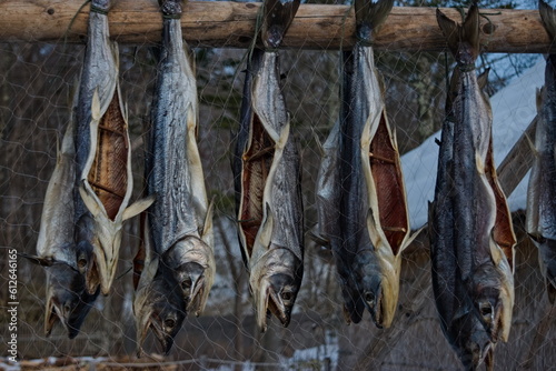 Fotografie Hokkaido Ainu Fish