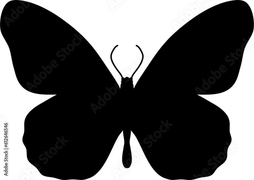 Lepidoptera Butterfly Silhouette Illustration Vector