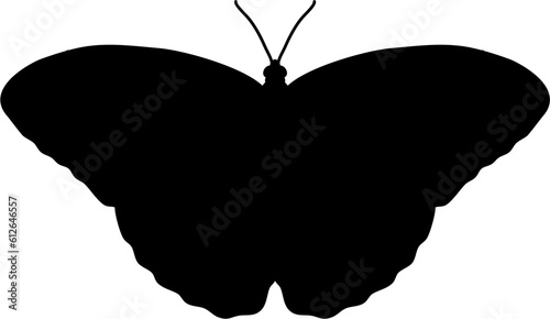 Moth Butterfly Silhouette Illustration Vector