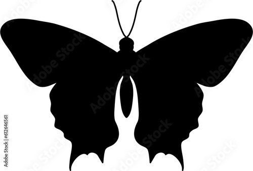 Animal Butterfly Silhouette Illustration Vector