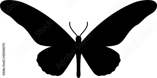 Flight Butterfly Silhouette Illustration Vector
