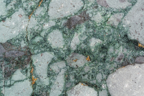 Green Abstract Breccia Stone Texture photo