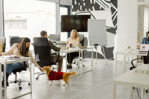 Workspace pet modern enterprise worker friendly