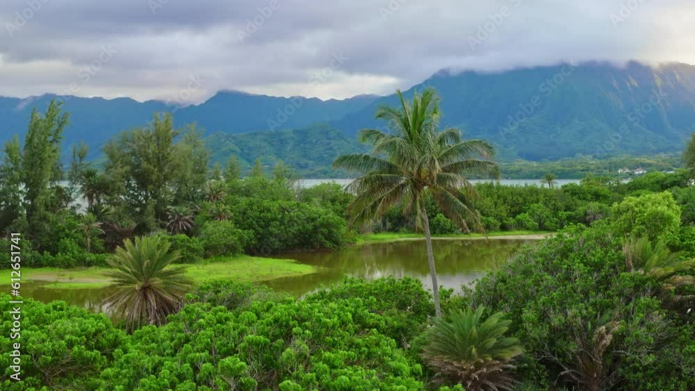 Tropical Island Drone Tropical Island Drone