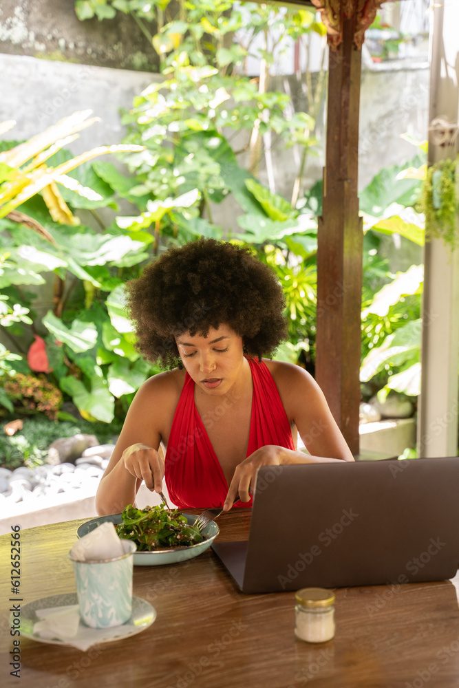 Woman Having Lunch While Working With Laptop Woman Having Lunch While Working With Laptop