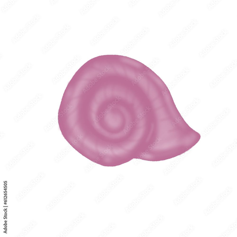 Fototapeta premium sea shells