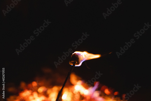 Roasting marshmallows on an open fire  photo