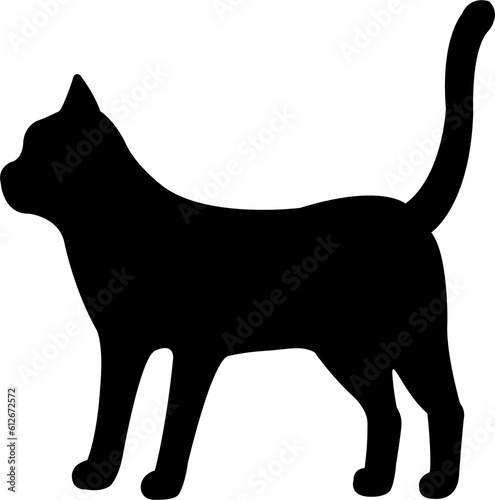 Photography black cat silhouette