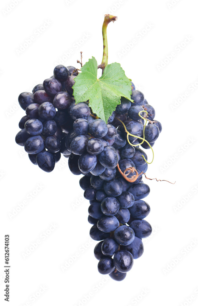 Grape fruit isolated Grape fruit isolated