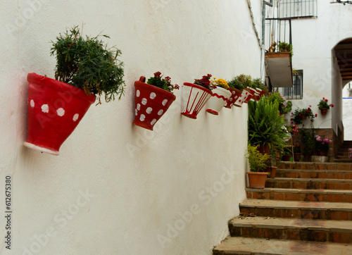 Potted plants on a wall. photo