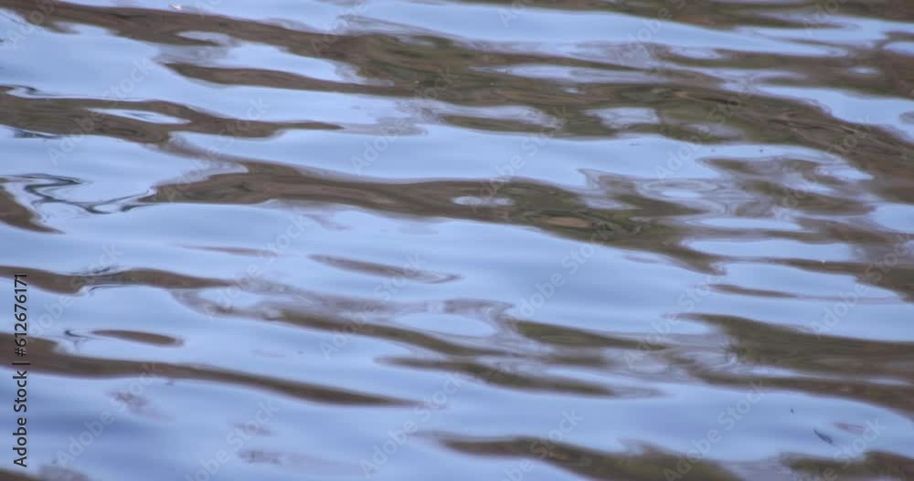 A slow motion of water surface on the pond A slow motion of water surface on the pond