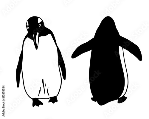 Cute Penguin front and back. Monochrome vector illustration. Realistic polar animal
