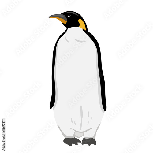 King Penguin. Flat vector illustration. Polar animal