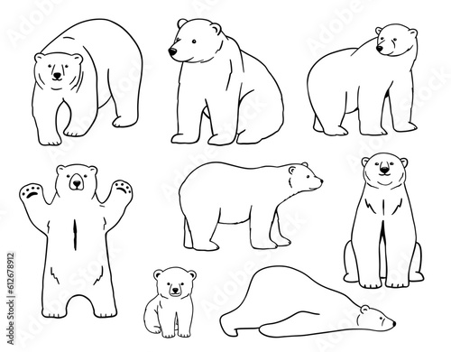 Baby White polar bear sketch. Outline vector illustration of forest animal.