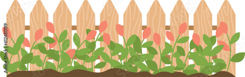 Wooden fence with flowers in the garden. Flat vector illustration.